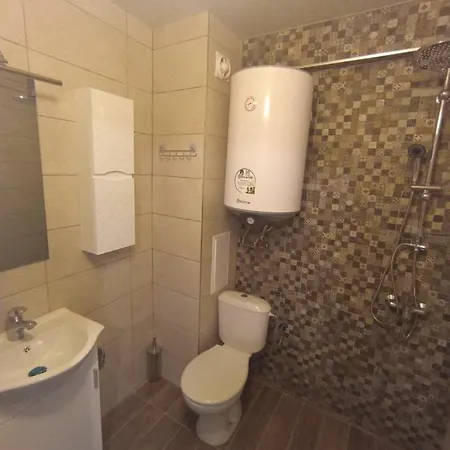 Apartnikolov1