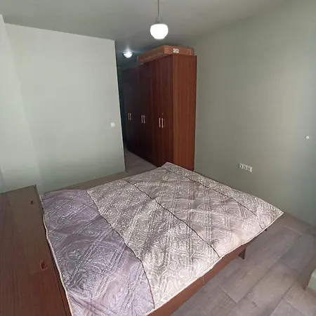 Apartnikolov1